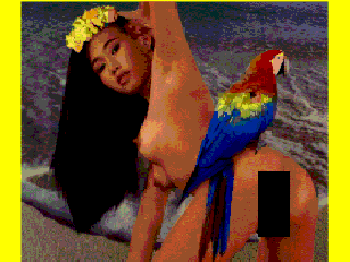 Screenshot Thumbnail / Media File 1 for Local Girls of Hawaii [U][CD][AK LOCAL SRCR 01][Excite Software][PCE]